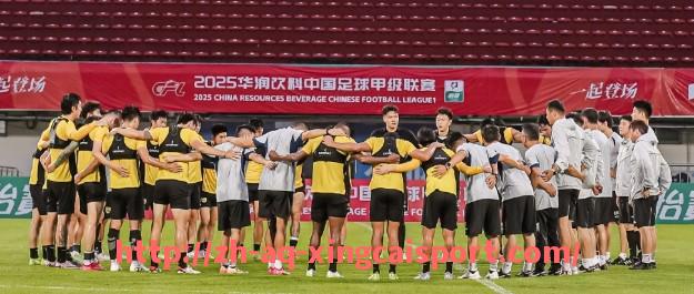 杏彩体育-NBA火箭队直播平台及优质频道推荐