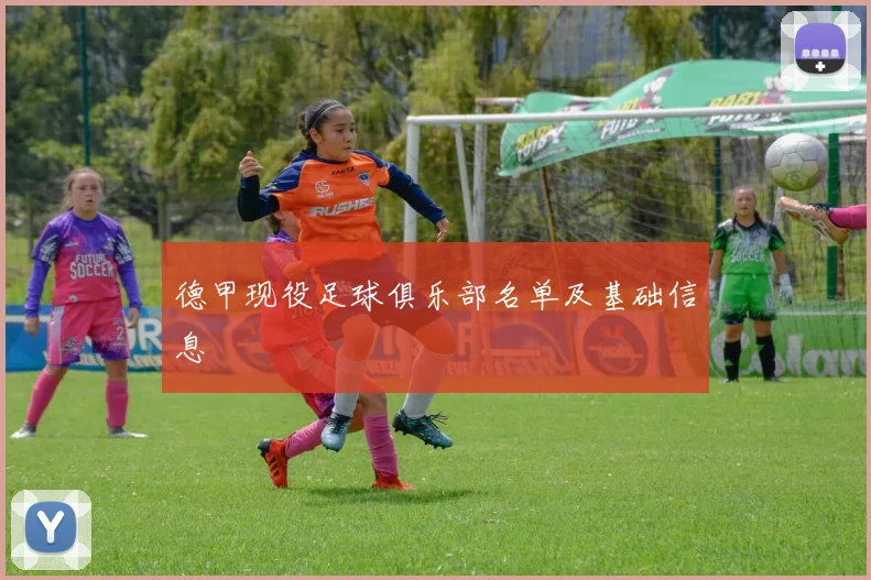 德甲现役足球俱乐部名单及基础信息