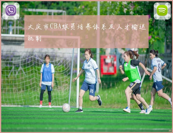 大庆市CBA球员培养体系及人才输送机制