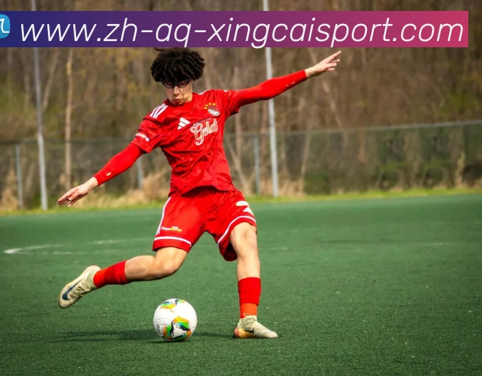 杏彩体育平台生态图