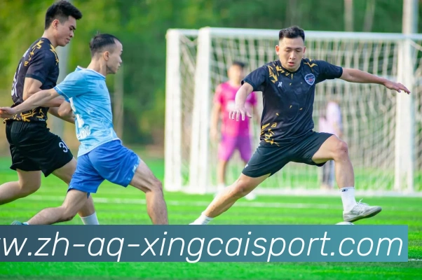 杏彩体育APP 封面图