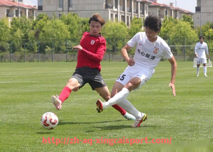 杏彩体育-英超最佳球员萨拉赫的辉煌赛季回顾