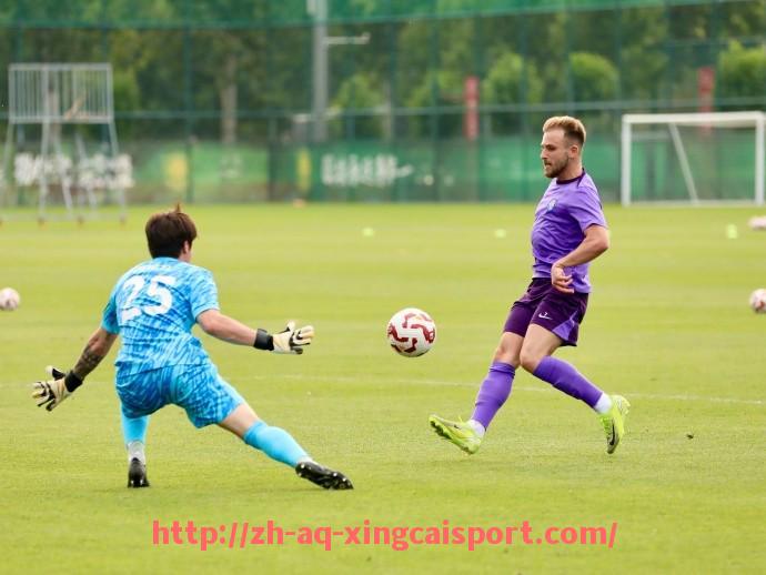 杏彩体育-西甲联赛威廉与立博临场赔率变动解析